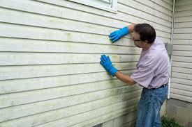 Best Storm Damage Siding Repair  in Pahrump, NV